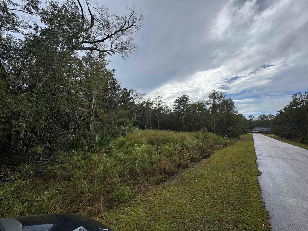 Photo of 44 Water Oak Way, St Marks, FL 32355 (MLS # 392666)