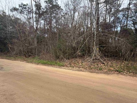Tiny photo for XX Baby Farm Drive, Tallahassee, FL 32304 (MLS # 395827)