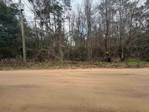 Tiny photo for XX Baby Farm Drive, Tallahassee, FL 32304 (MLS # 395827)
