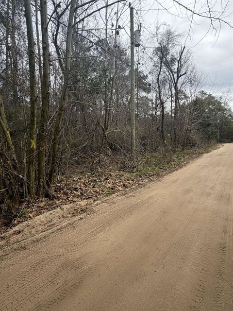 Tiny photo for XX Baby Farm Drive, Tallahassee, FL 32304 (MLS # 395827)