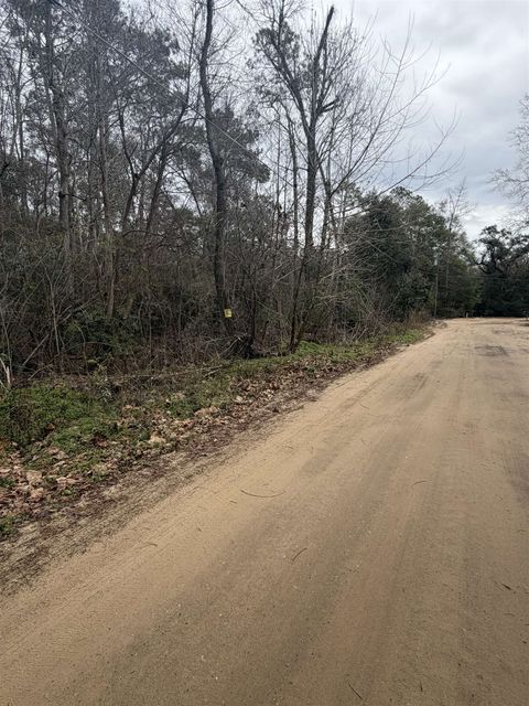 Tiny photo for XX Baby Farm Drive, Tallahassee, FL 32304 (MLS # 395827)