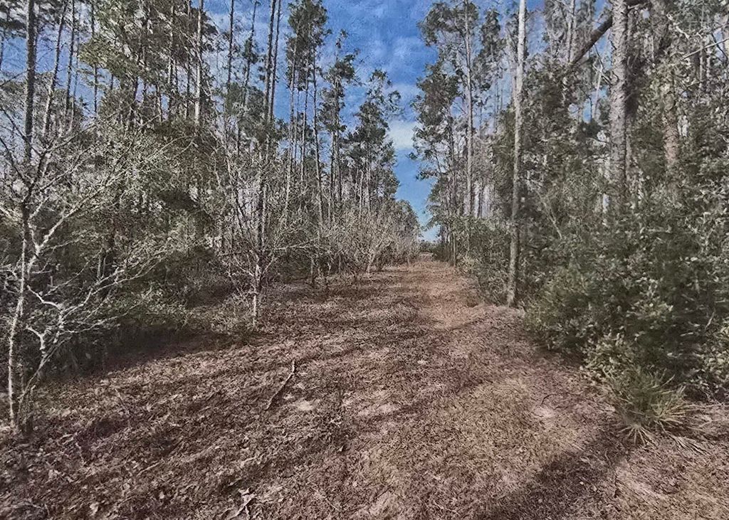 Photo of 13845 N GULF MNR Mnr, Perry, FL 32348 (MLS # 398757)