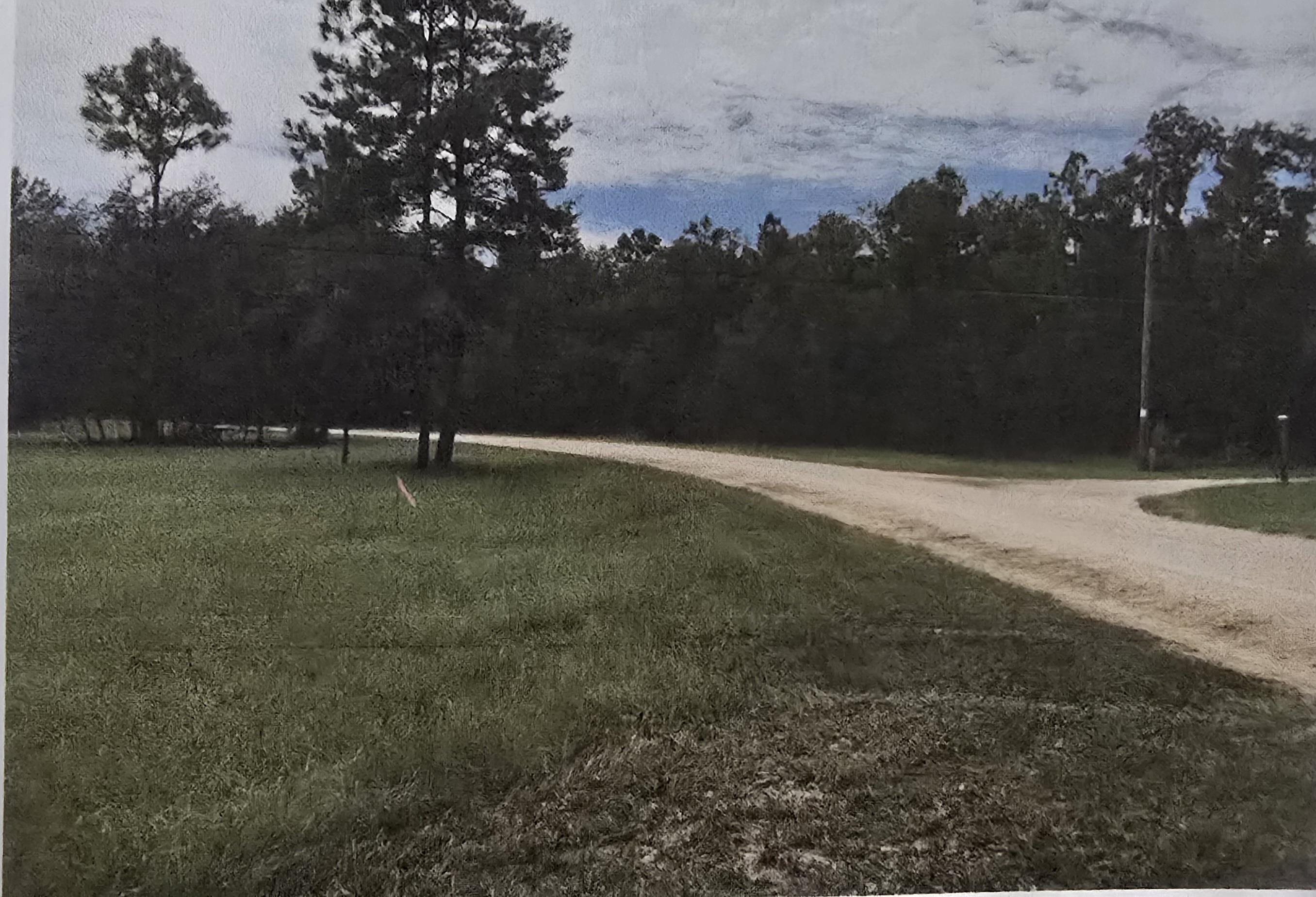 Photo 1 of 8 — 13845 N GULF MNR, Perry, FL 32348