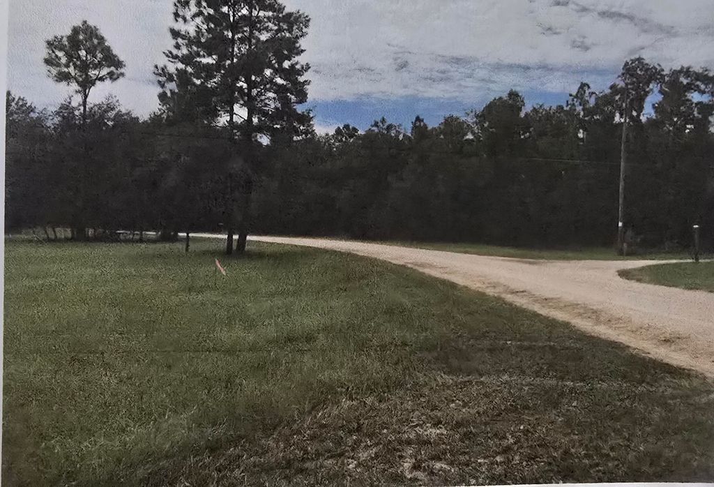 Photo of 13845 N GULF MNR Mnr, Perry, FL 32348 (MLS # 398757)