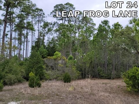 Tiny photo for LOT 24 Leap Frog Lane #-, Panacea, FL 32346 (MLS # 396875)