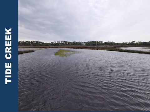 Tiny photo for LOT 24 Leap Frog Lane #-, Panacea, FL 32346 (MLS # 396875)