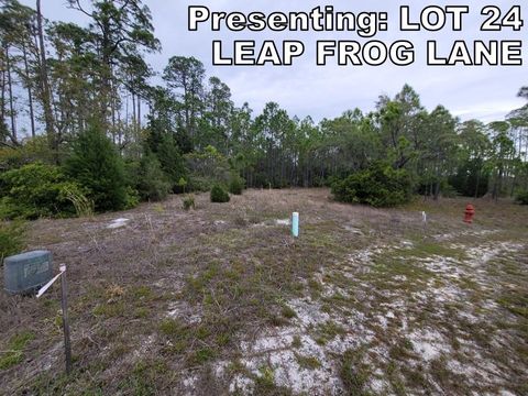 Tiny photo for LOT 24 Leap Frog Lane #-, Panacea, FL 32346 (MLS # 396875)