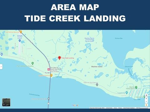 Tiny photo for LOT 24 Leap Frog Lane #-, Panacea, FL 32346 (MLS # 396875)