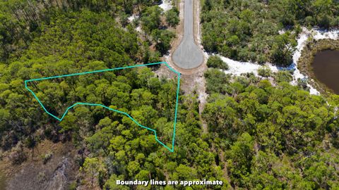 Tiny photo for LOT 24 Leap Frog Lane #-, Panacea, FL 32346 (MLS # 396875)