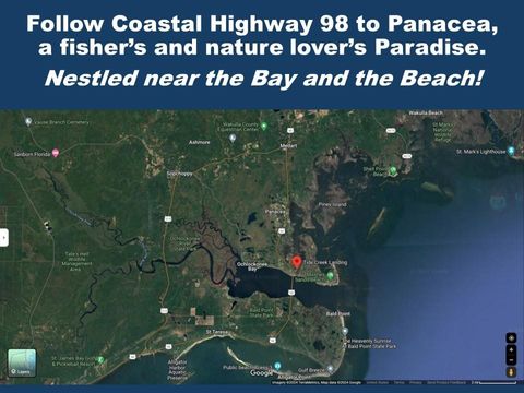 Tiny photo for LOT 24 Leap Frog Lane #-, Panacea, FL 32346 (MLS # 396875)