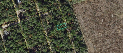 Lot 38 Iroquois Road Crawfordville FL 32327