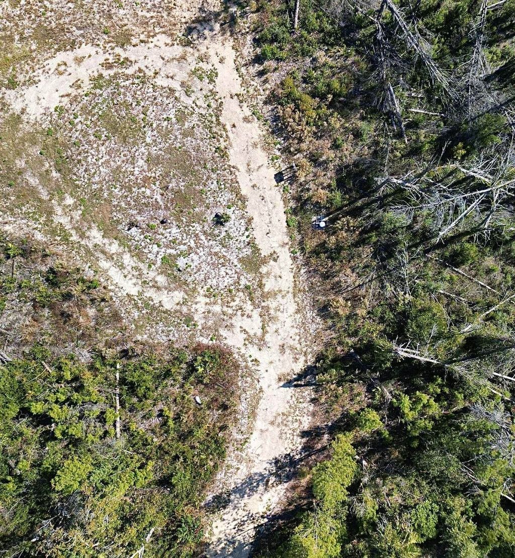 Photo of TBD Beach Road, Perry, FL 32348 (MLS # 393120)