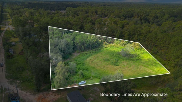 STRONG PINE CT, WAKULLA SPRINGS, FL 32305 - Image 04c3d2a00e01989ef1a8b98ef0dac16f/187086754