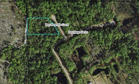 146 Bay Magnolia Court Carrabelle FL 32322