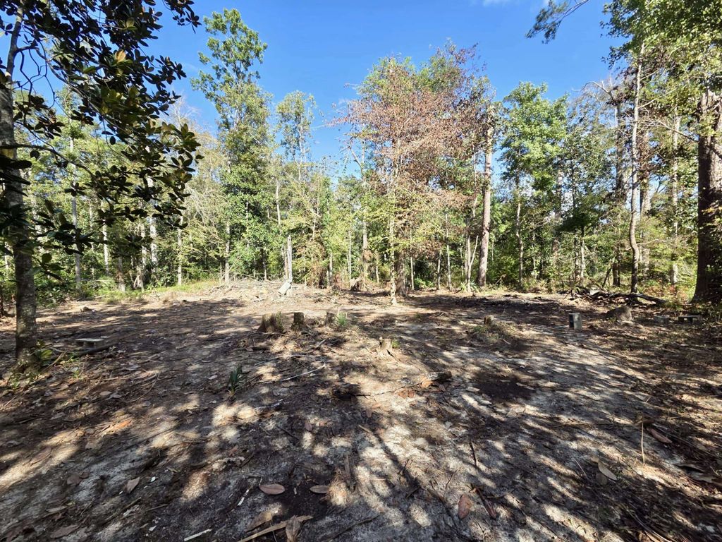 Photo of 120 Darwin Place, Quincy, FL 32351 (MLS # 391870)