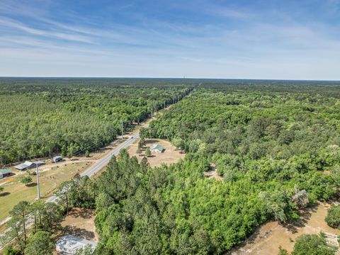 Tiny photo for 16998 Blountstown Highway, Tallahassee, FL 32310 (MLS # 399108)