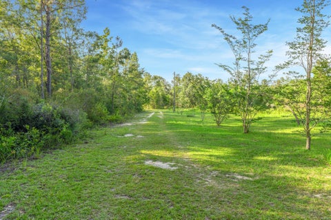 Tiny photo for 1495 Juniper Creek Road, Quincy, FL 32351 (MLS # 401752)