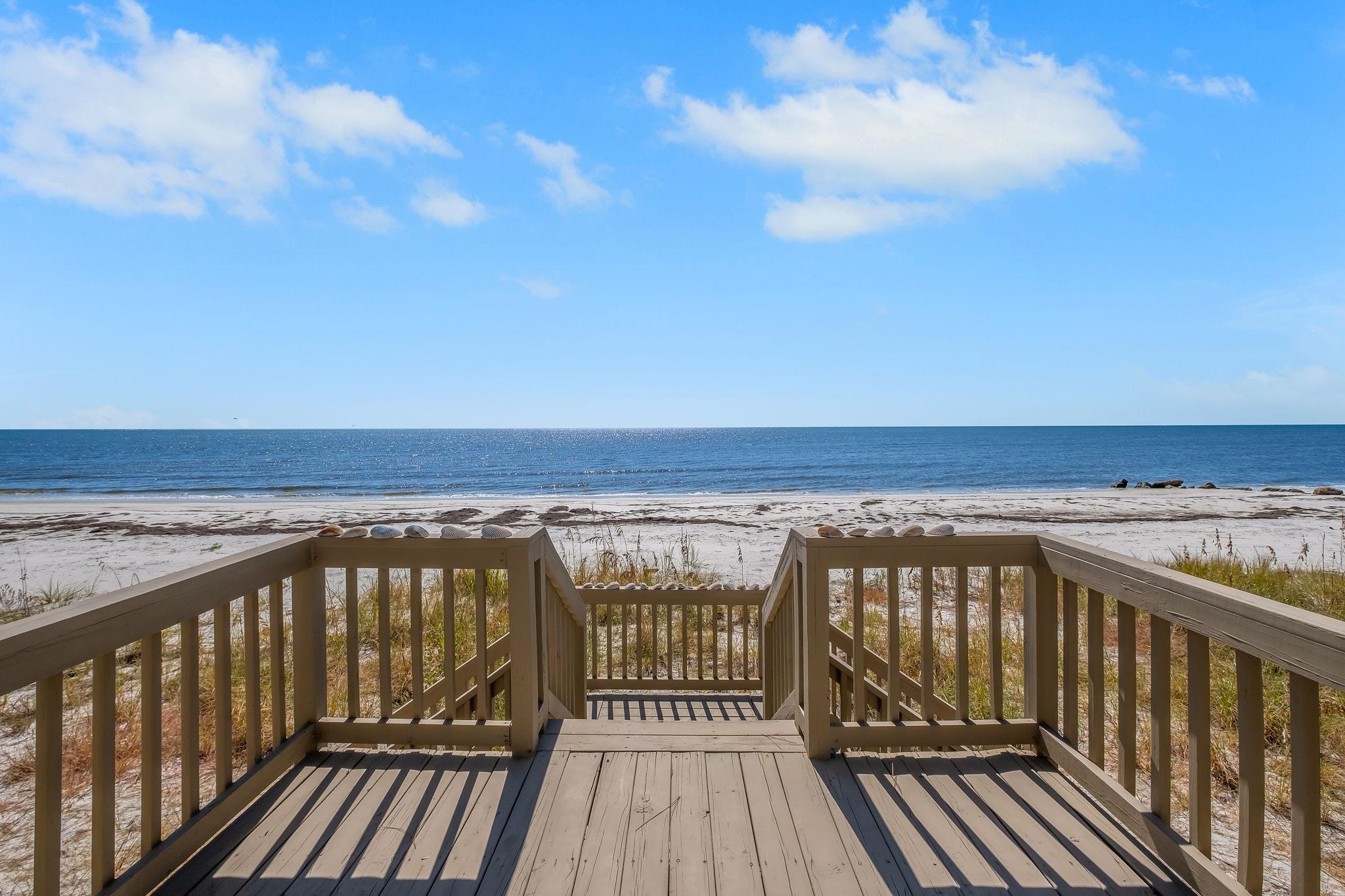 1669 Alligator Drive