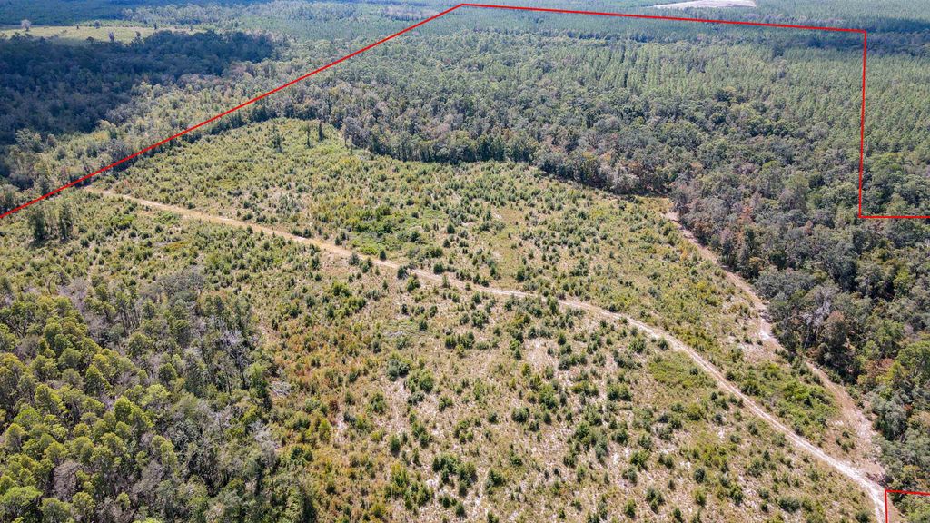 Photo of TBD NE 36th Drive Drive, Jasper, FL 32052 (MLS # 391604)