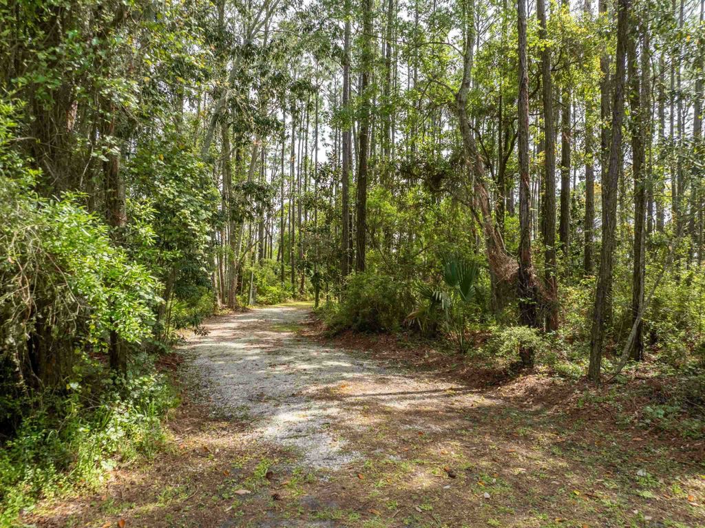 Photo of 2630 Us Highway 98 E, Lanark, FL 32323 (MLS # 392070)