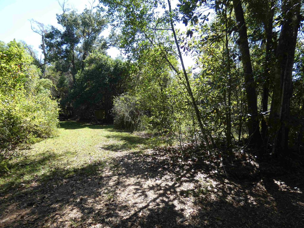 Photo of tbd Jackson Street, Monticello, FL 32344 (MLS # 391562)