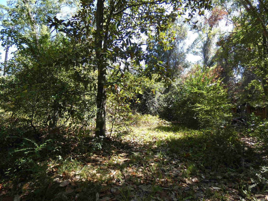 Photo of tbd Jackson Street, Monticello, FL 32344 (MLS # 391562)
