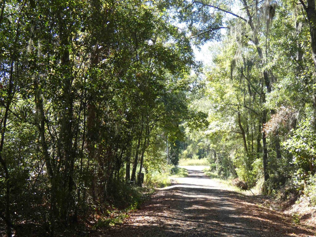 Photo of tbd Jackson Street, Monticello, FL 32344 (MLS # 391562)