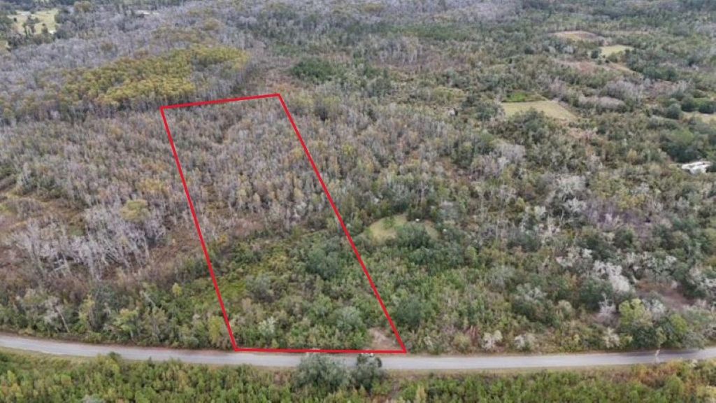 Photo of 6511 NW Flowers Road, Madison, FL 32340 (MLS # 399039)