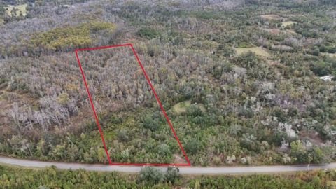 Photo of 6511 NW Flowers Road, Madison, FL 32340 (MLS # 399039)