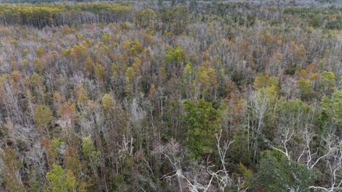 Tiny photo for 6511 NW Flowers Road, Madison, FL 32340 (MLS # 399039)
