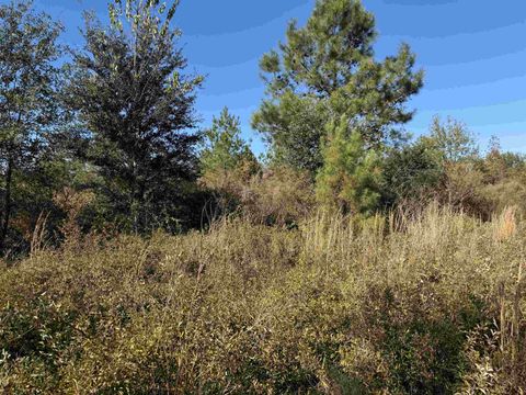 Tiny photo for 6511 NW Flowers Road, Madison, FL 32340 (MLS # 399039)
