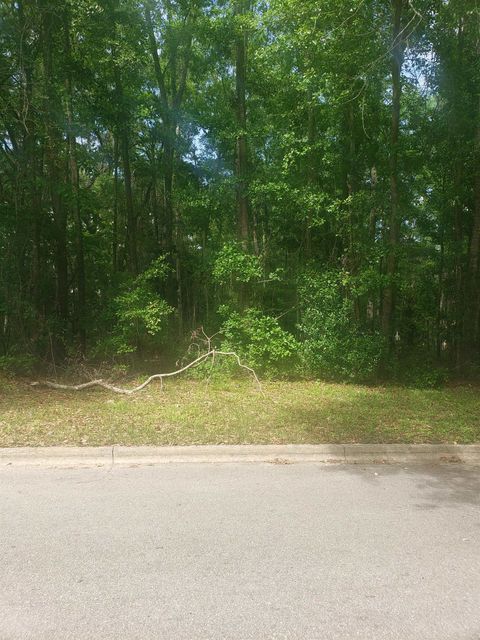 Tiny photo for Thomas Road, Tallahassee, FL 32312 (MLS # 379105)