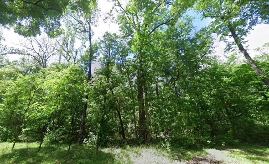 Photo of 244 SW Delaware Way, Other Florida, FL 32038 (MLS # 398082)