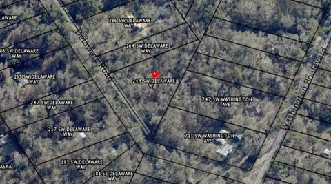 Tiny photo for 244 SW Delaware Way, Other Florida, FL 32038 (MLS # 398082)