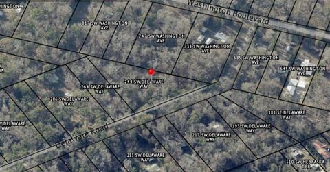 Tiny photo for 244 SW Delaware Way, Other Florida, FL 32038 (MLS # 398082)