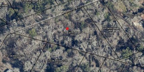 Tiny photo for 244 SW Delaware Way, Other Florida, FL 32038 (MLS # 398082)