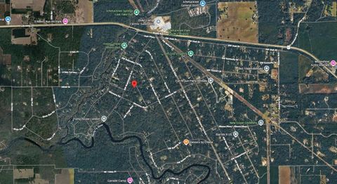 Tiny photo for 244 SW Delaware Way, Other Florida, FL 32038 (MLS # 398082)