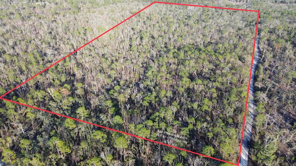 Photo of Vacant Clearwater Creek Lane, Perry, FL 32348 (MLS # 392370)