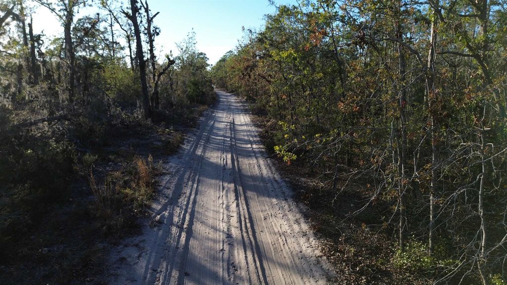 Photo of Vacant Clearwater Creek Lane, Perry, FL 32348 (MLS # 392370)