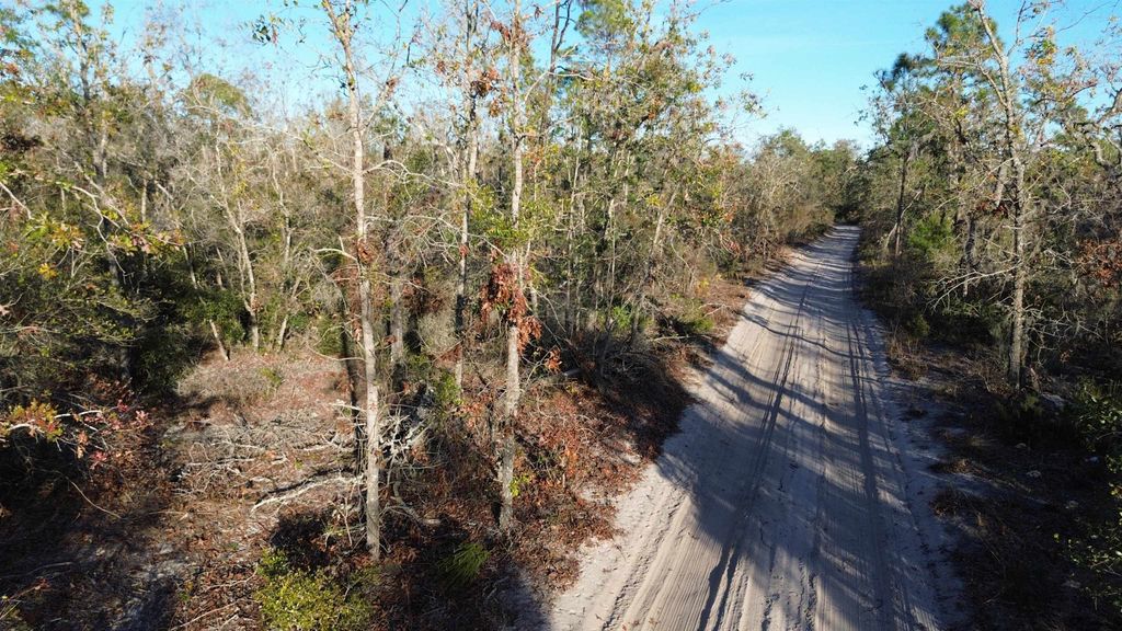 Photo of Vacant Clearwater Creek Lane, Perry, FL 32348 (MLS # 392370)