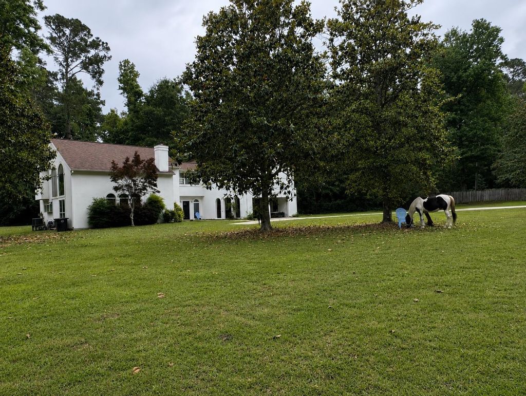 Photo of 3392 Deer Lane Drive, Tallahassee, FL 32312 (MLS # 400307)