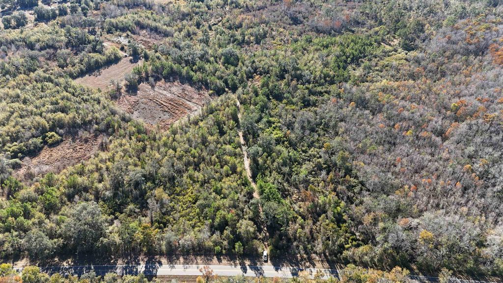 Photo of 5000 NW Little Cat Rd, Madison, FL 32340 (MLS # 393331)