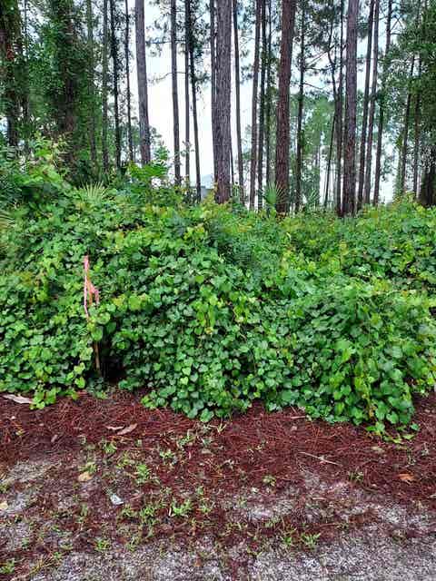 Featured picture for the property 383253