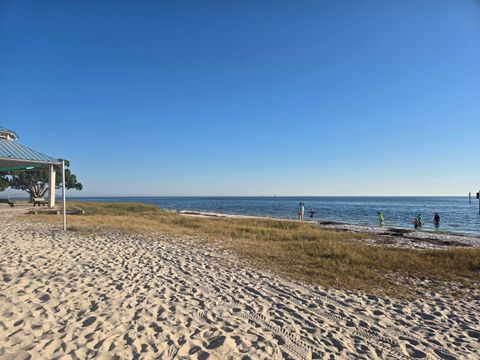 XX Dockside Drive Crawfordville FL 32327