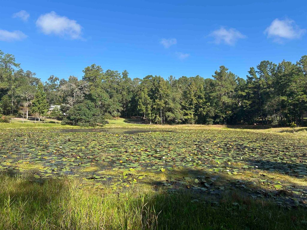 Photo of Tram Road, Tallahassee, FL 32311 (MLS # 399987)