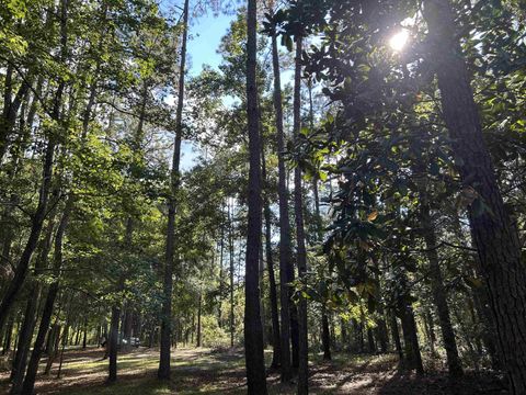 Tiny photo for Tram Road, Tallahassee, FL 32311 (MLS # 399987)
