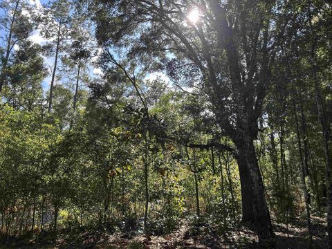 Tiny photo for Tram Road, Tallahassee, FL 32311 (MLS # 399987)