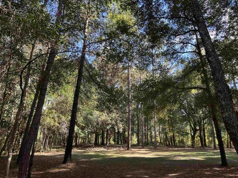 Tiny photo for Tram Road, Tallahassee, FL 32311 (MLS # 399987)