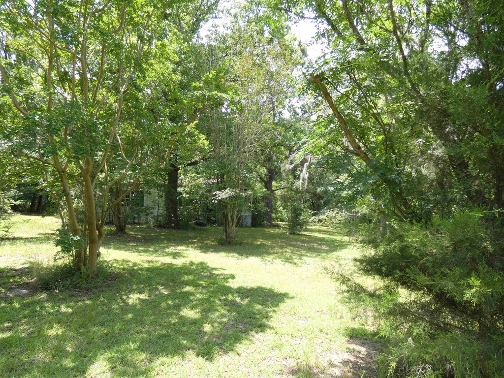 Photo of 790 WJ Hatchett Road, Lamont, FL 32336 (MLS # 400733)