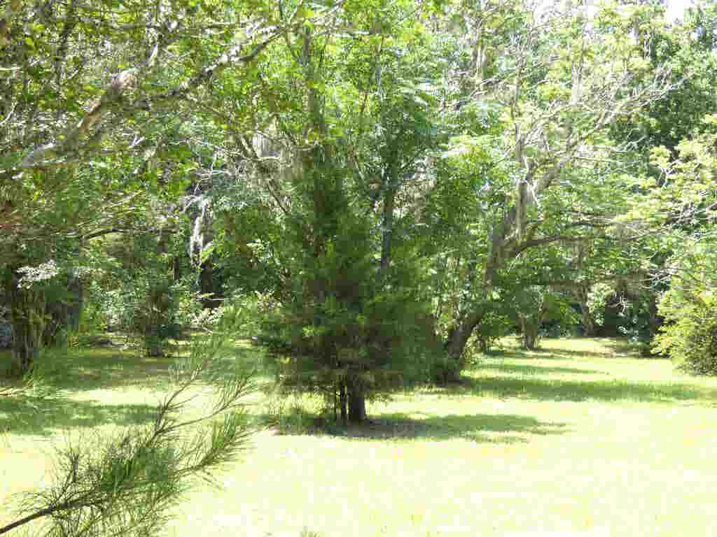 Photo of 790 WJ Hatchett Road, Lamont, FL 32336 (MLS # 400733)